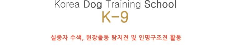 korea dog training school ߱,  ,  ȣŰ, ׼, 湮Ʒ, ְȣ, ְߺо