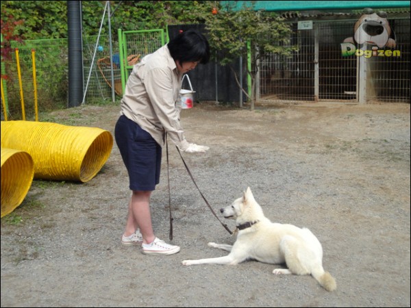 쪼쪼 이미지
